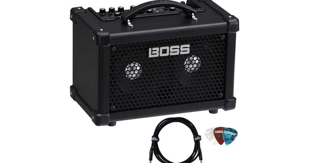 portable bass amp review