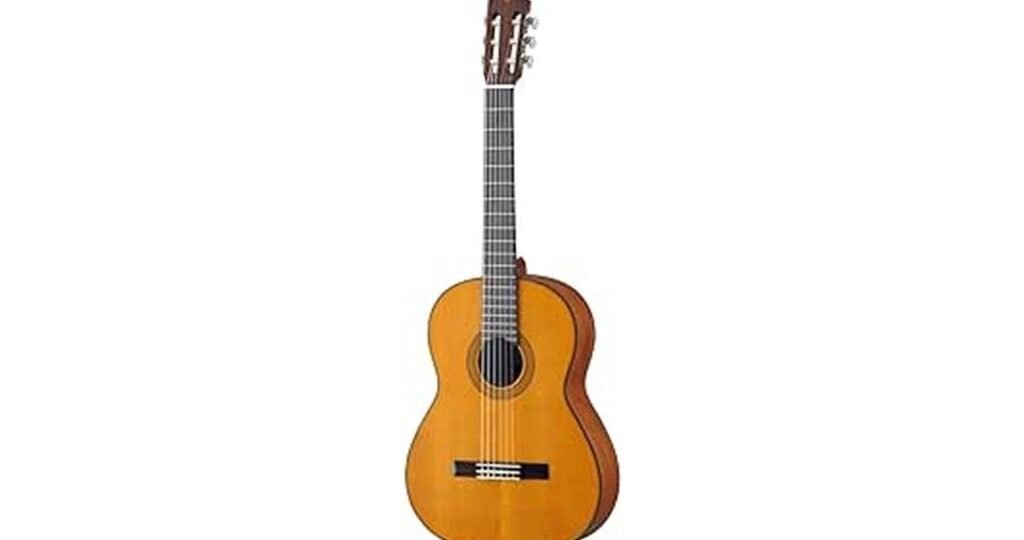 affordable classical guitar option