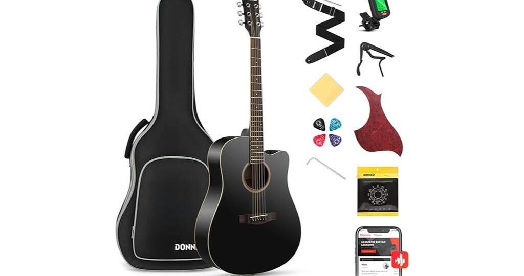 comprehensive donner guitar review