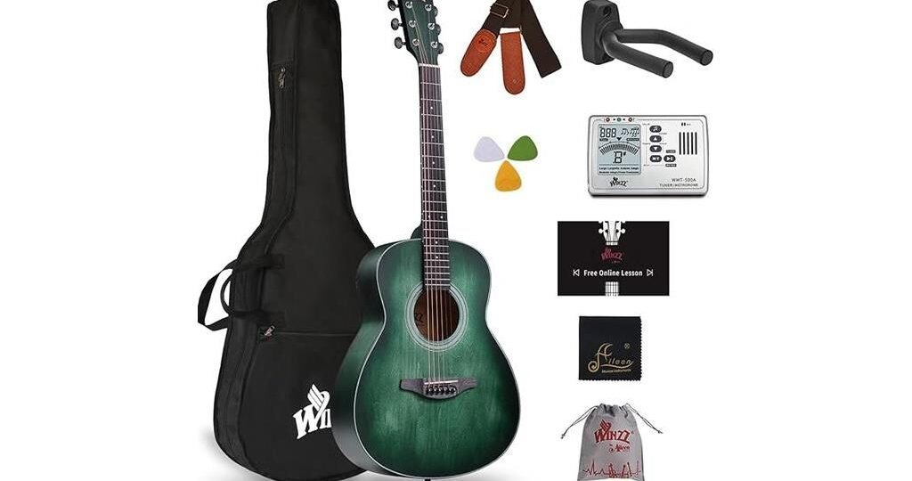 guitar review winzz series